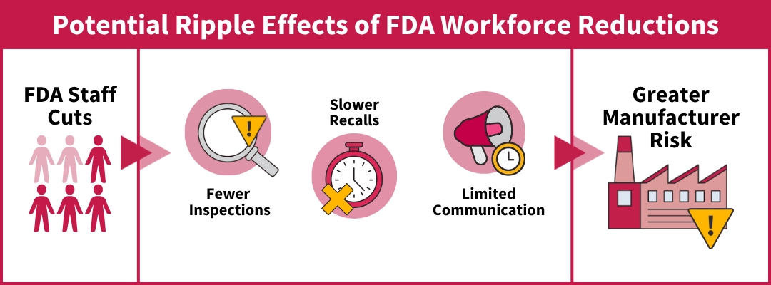 Infographic demonstrating potential ripple effects of FDA workforce reductions: fewer inspections, slower recalls, and limited communication, all leading to greater manufacturer risk.