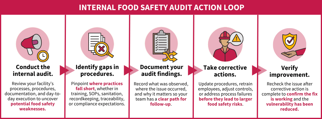 Infographic showing the internal food safety audit action loop from conducting the audit to verifying improvement.