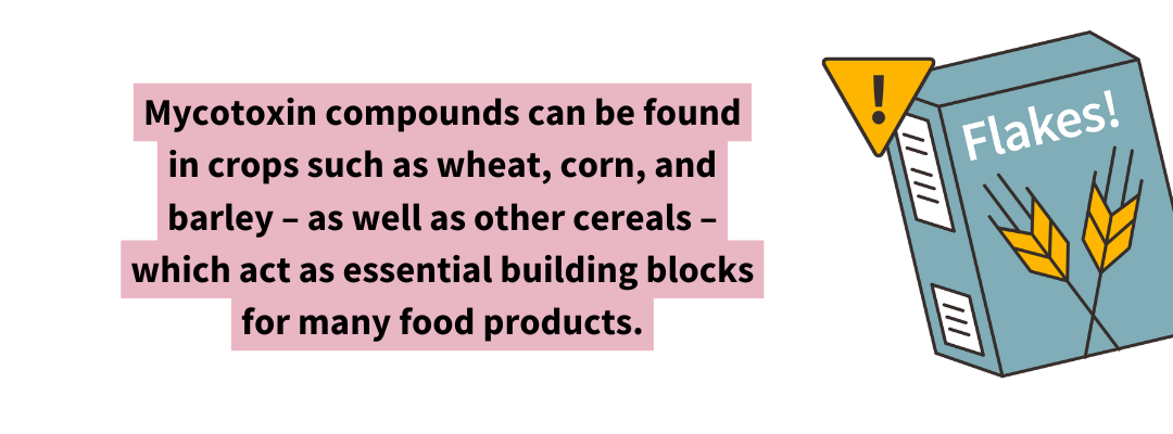 Graphic showing a cereal box with a warning icon next to a quote reading: “Mycotoxin compounds can be found in crops such as wheat, corn, and barley – as well as other cereals – which act as essential building blocks for many food products.”