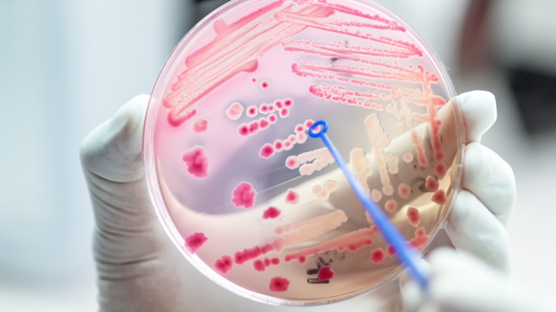 Everything You Need to Know About the FDA’s Traceback Program