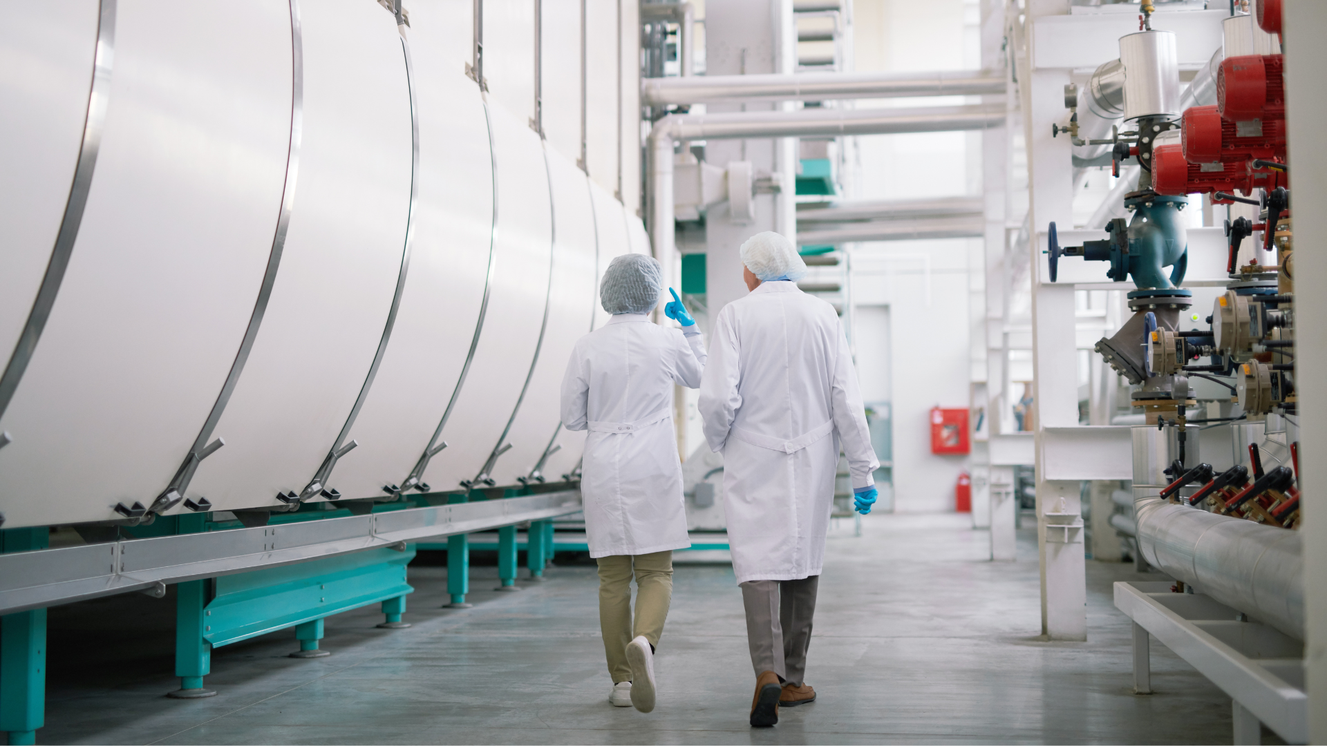 How to Build a Sustainable Food Safety Training Program That Adapts to ...