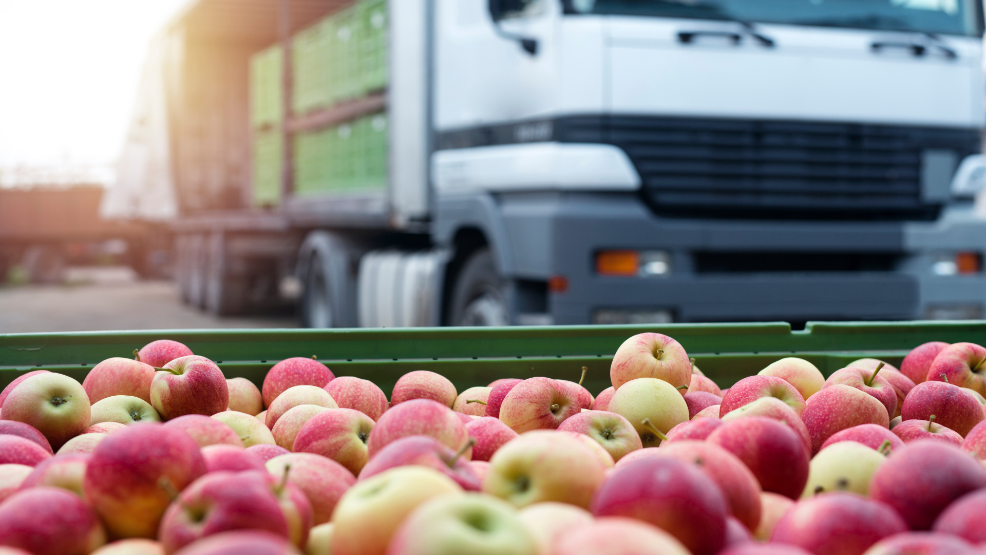 Where the Buck Stops: The Exporter's True Role in FSVP