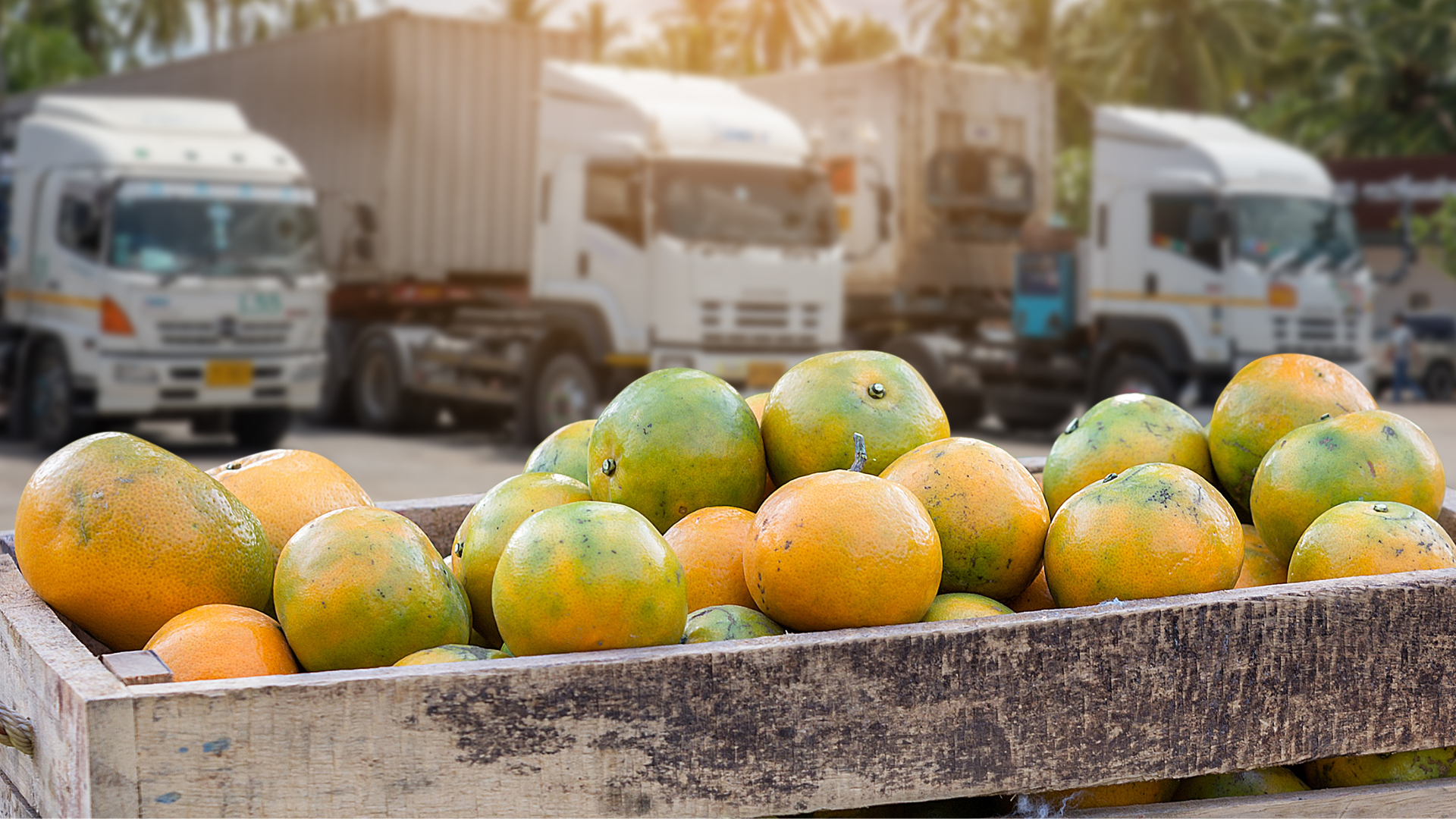 FSVP Essentials: What Manufacturers Need to Know