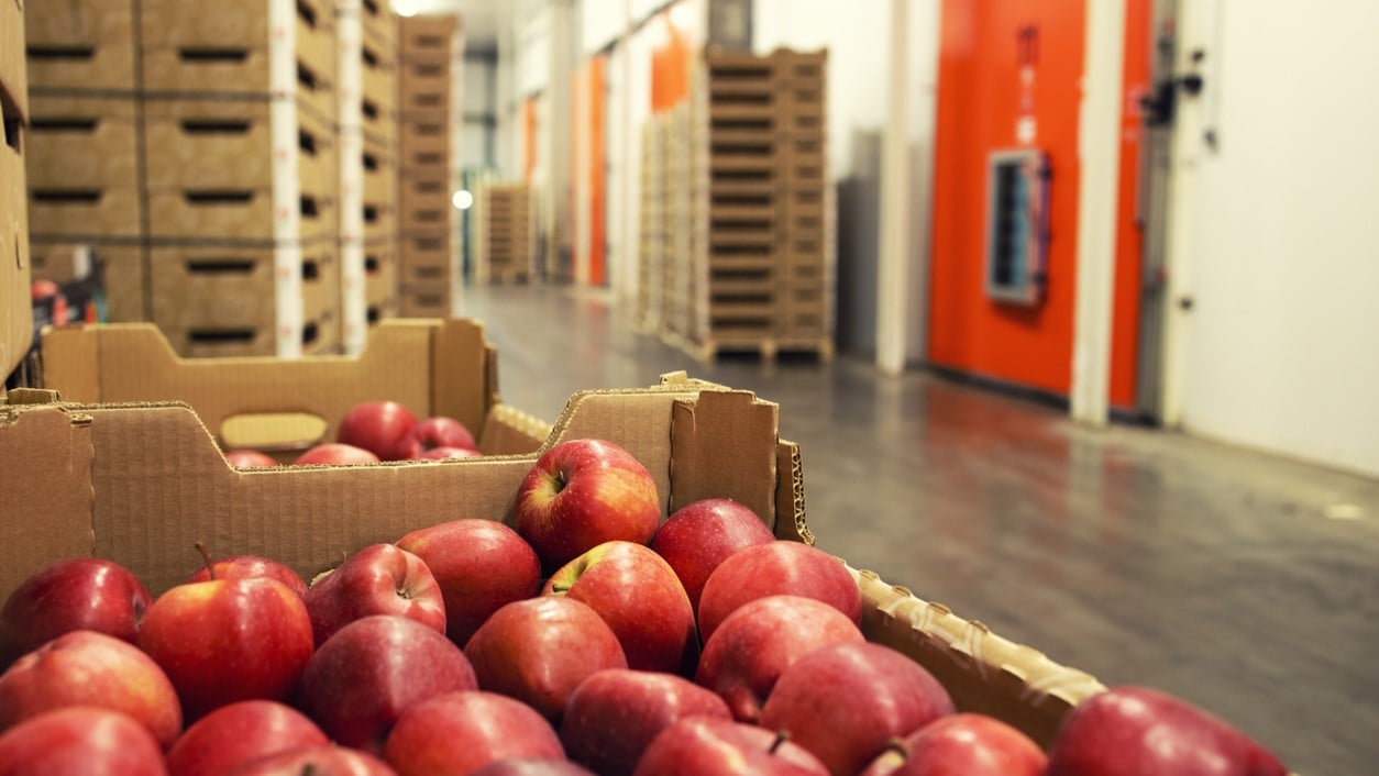 apples in a warehouse