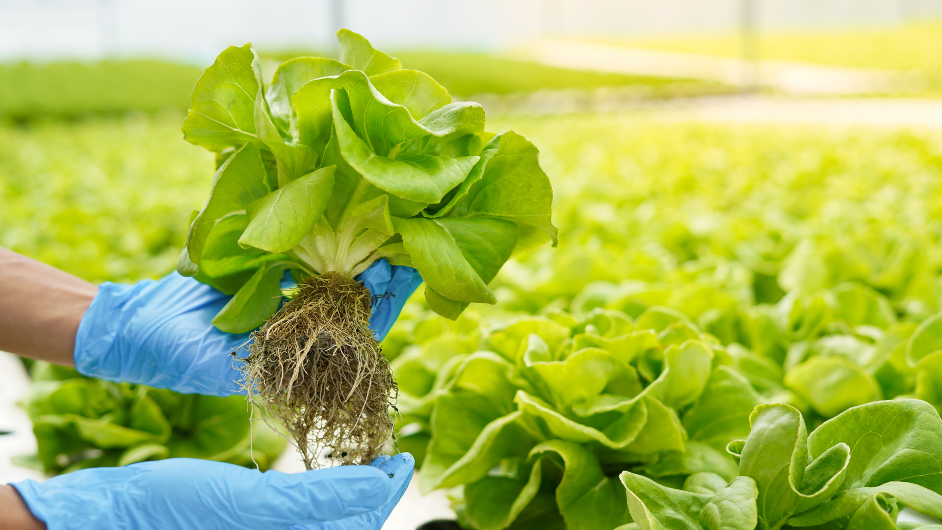 How to Manage Supplier Changes Without Compromising Food Safety